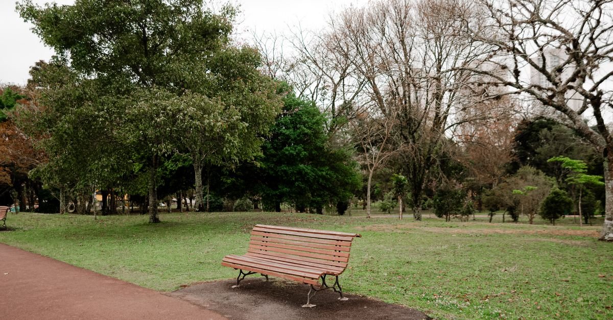 Banco de madeira vazio em um parque urbano arborizado, em dia nublado
