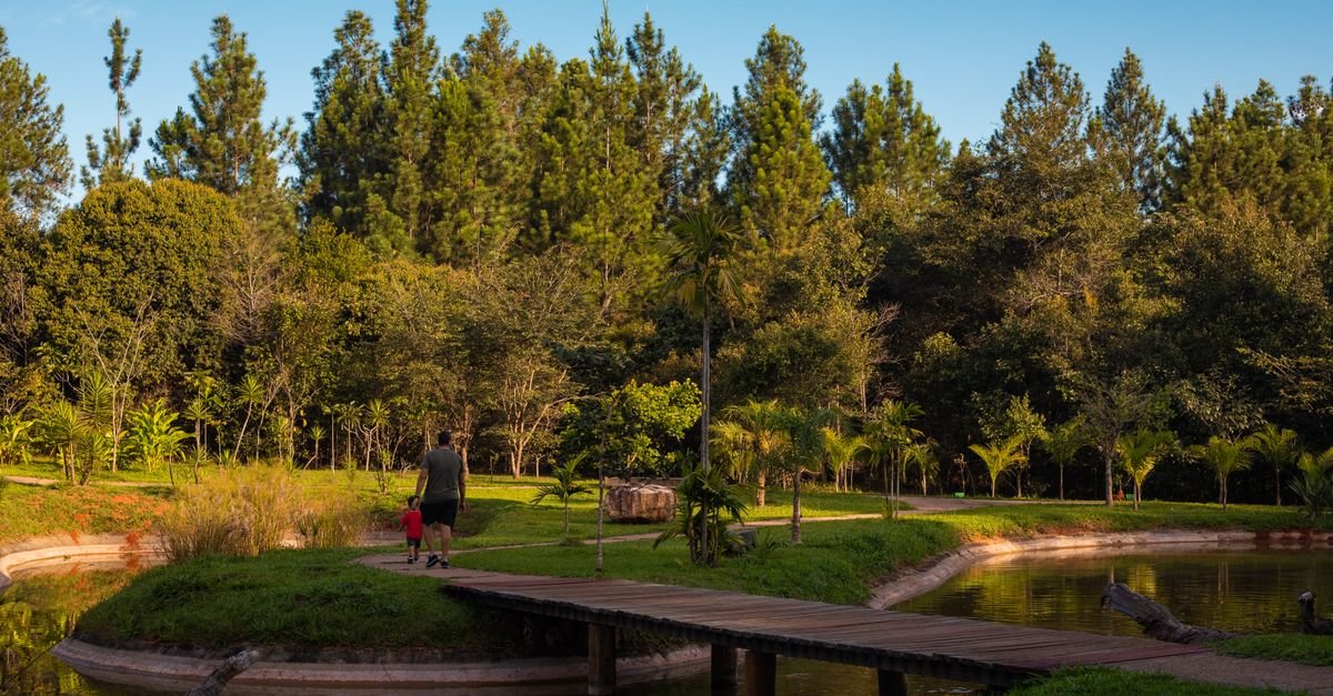 Adulto e criança caminham por passarela de madeira em parque com vegetação e lago
