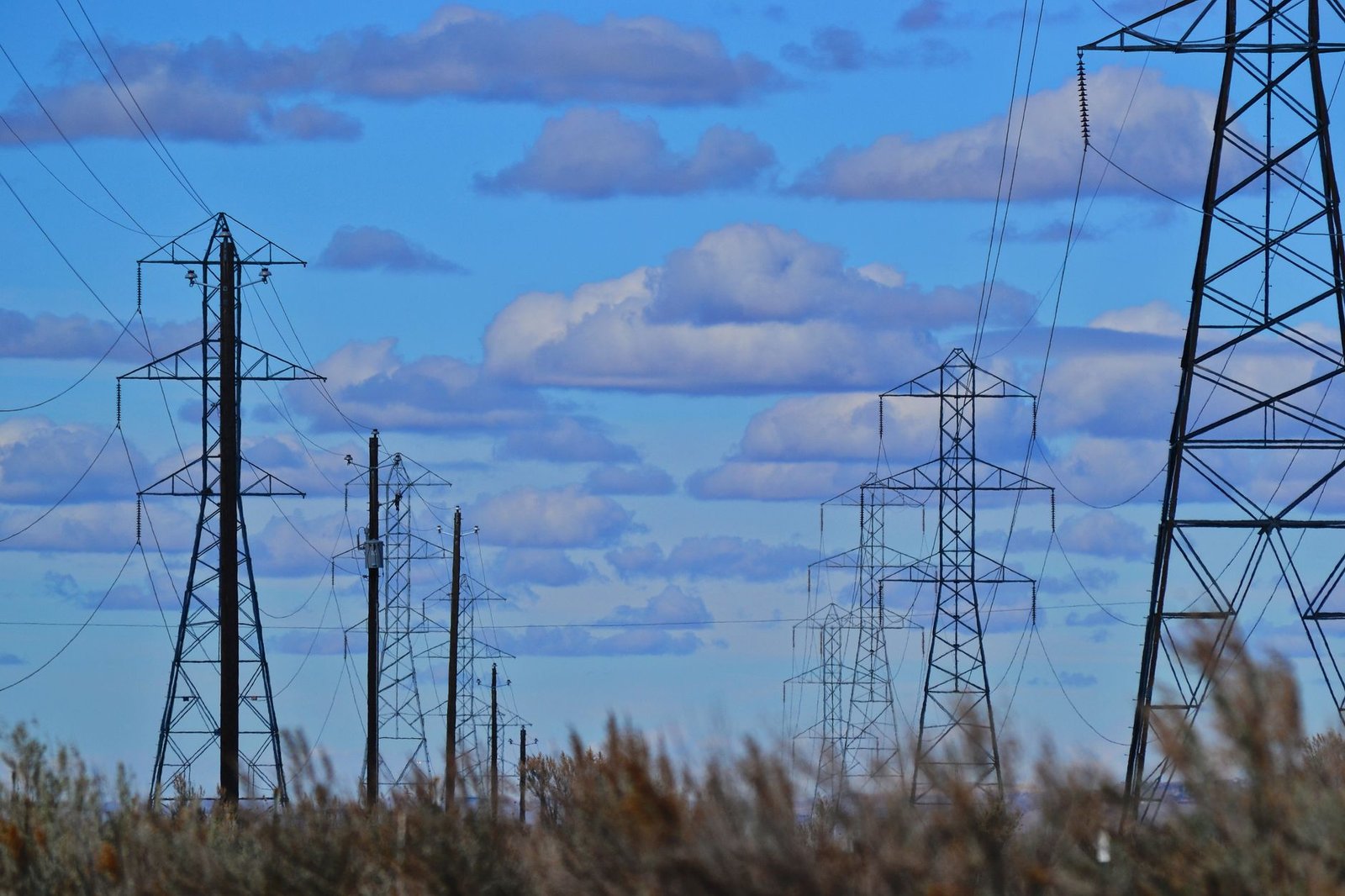 Torres de transmissão de energia e fios recortados contra o céu azul, com vegetação seca em primeiro plano