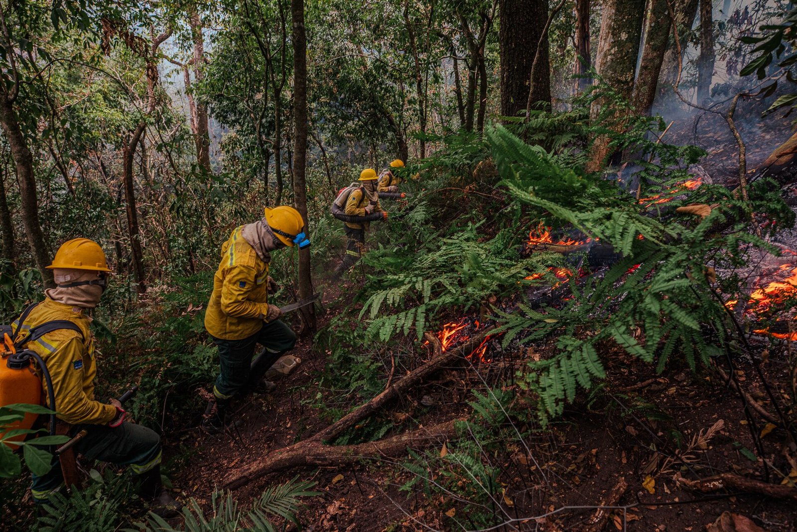 Brigadistas combatem incêndio em vegetação