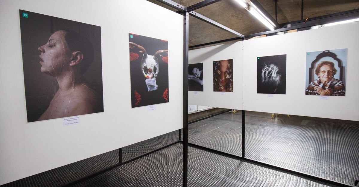 Painéis brancos com fotografias emolduradas em exposição de galeria