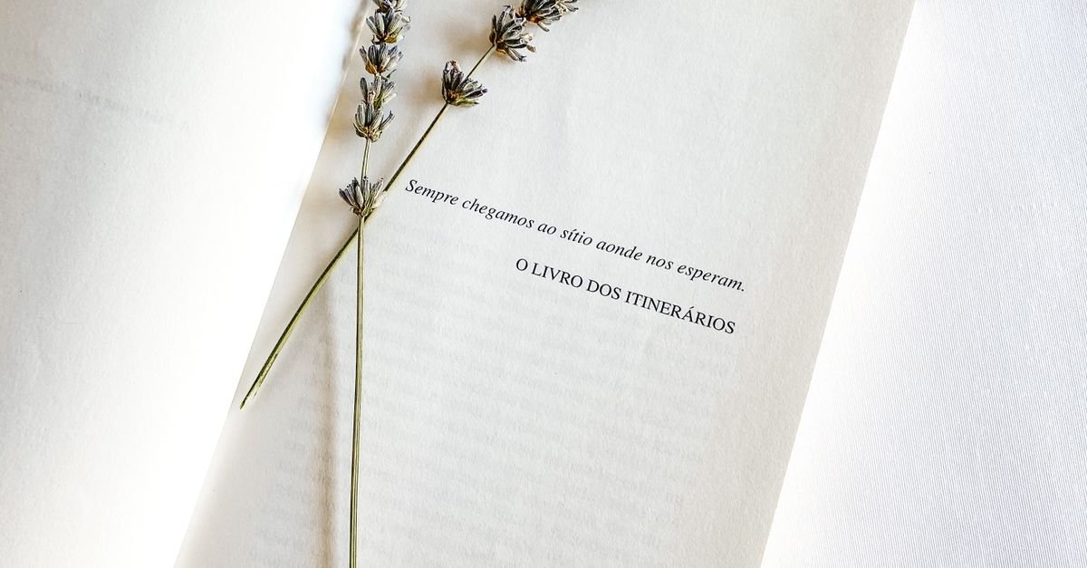 Livro aberto em página com epígrafe, com ramos de lavanda sobre o papel