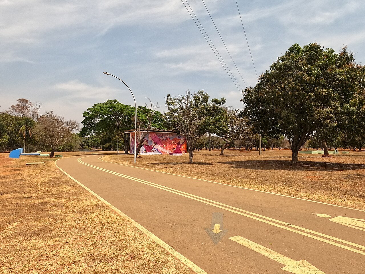Pista de caminhada e quiosque com mural colorido entre árvores no Parque da Cidade Dona Sarah Kubitschek