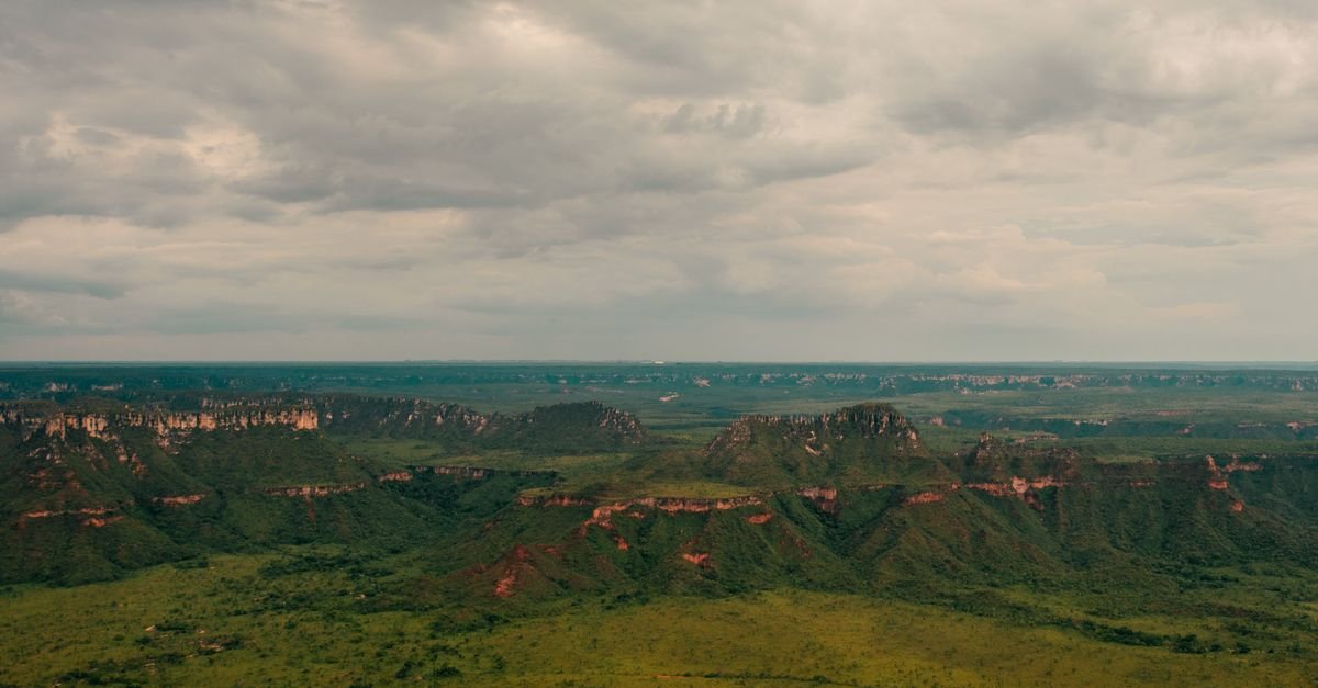 Paisagem de Cerrado com chapada e vegetação, bioma retratado nas pinturas das paradas do Lago Oeste