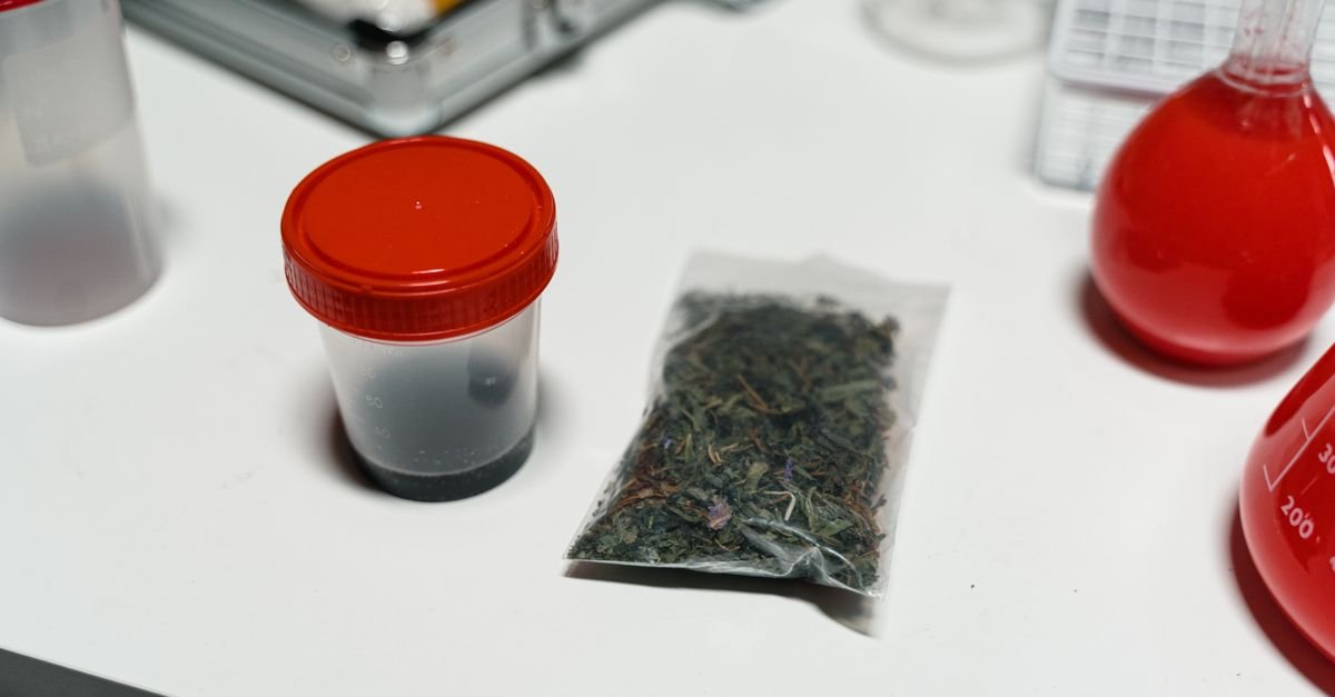 Porção de maconha em saco plástico e frasco sobre bancada de perícia
