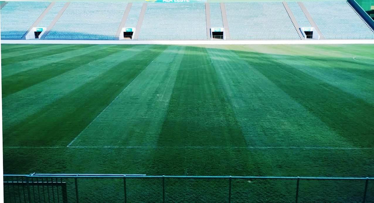 Gramado e arquibancadas do Estádio Bezerrão, no Gama